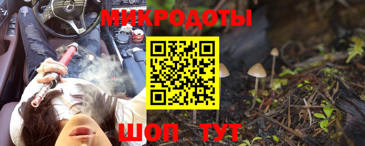 Псилоцибиновые грибы Cubensis  Вход с VPN  Северодвинск 