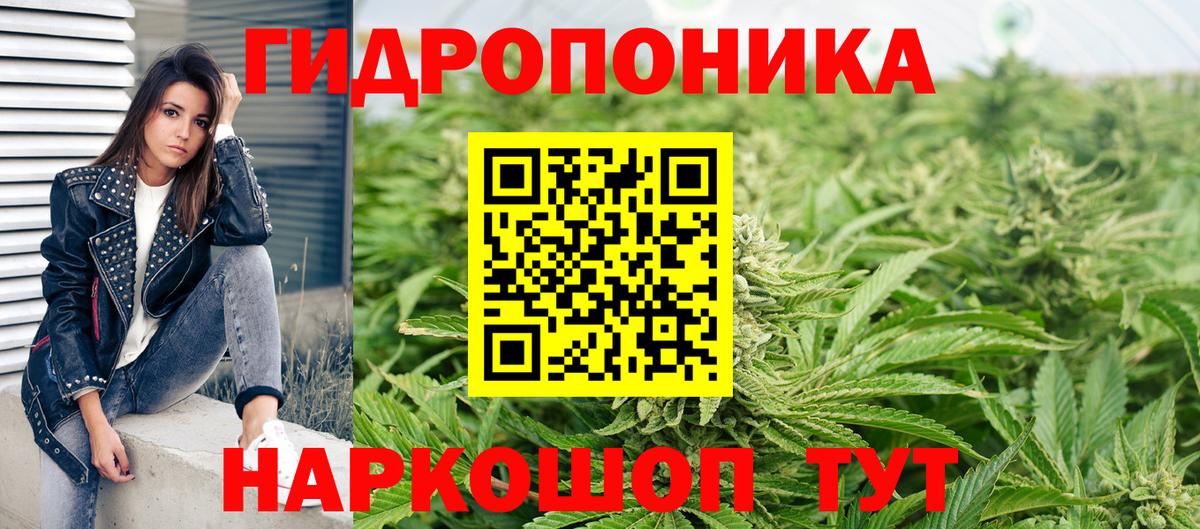 Северодвинск  Марихуана LSD WEED  Вход с VPN  Бошки марихуана ГИДРОПОН 